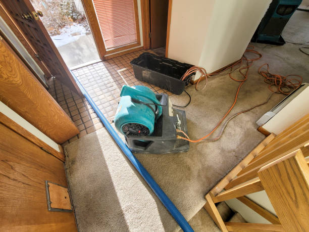 Reliable Britton, SD Water damage restoration Solutions